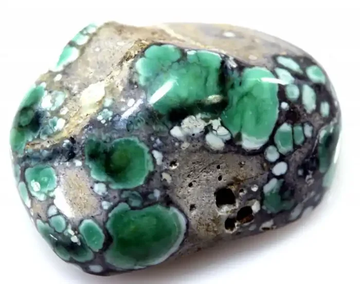 17 CTS BLUEBOY VARISCITE CLAM PSEUDOMORPH TBG-3428