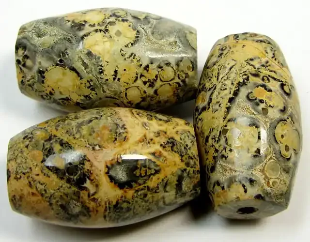 175 CTS THREE NATURAL VEGETATION FOSSIL BEADS AGR261