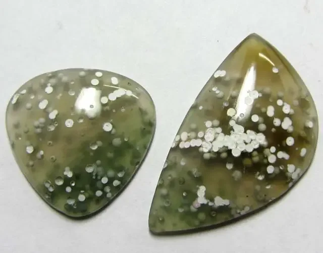 18.7 CTS PARCEL OCEAN JASPER MS 1262