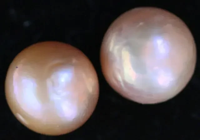 19.90 cts Pair Ivory/Apricot Pearls PPP 670