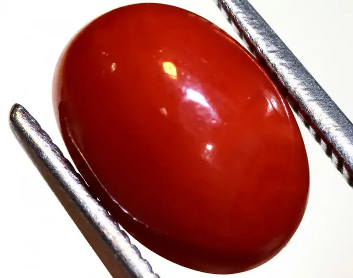 2.35 -CTS – UNTREATED NATURAL CORAL CAB TBG-3271