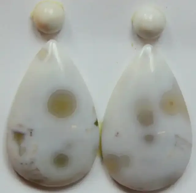 20.00 CTS OCEAN JASPER PAIR 4 STONES FOR EARRINGS