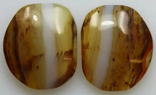 20.05 CTS WYOMING AGATE PAIR OF POLISHED STONES