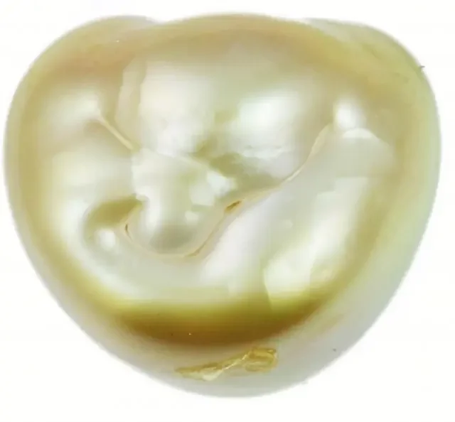 20.1 Cts Golden Freeform Shape Natural Pearl PPP918