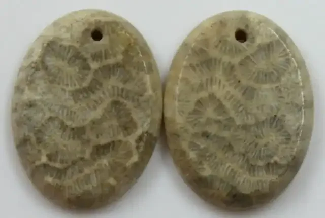 20.90 CTS PAIR OF POLISHED CORAL NATURAL STONES DRILLED