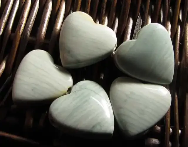 207 CTS FIVE WAVE HEART JASPER BEADS MS 1464