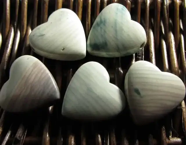 207 CTS FIVE WAVE HEART JASPER BEADS MS 1465