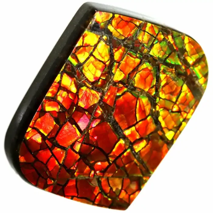 21.00 CTS AMMOLITE STONE FROM CANADA [SAFE133]