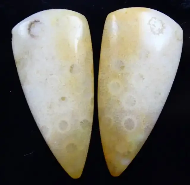 21.20 CTS PAIR OF POLISHED CORAL NATURAL STONES