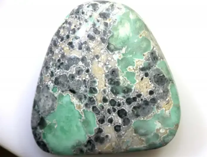 21.40CTS BLUEBOY VARISCITE CLAM PSEUDOMORPH TBG-3148