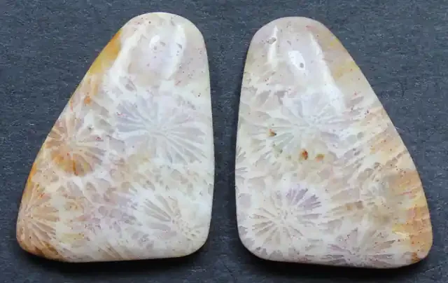 21.50 CTS CORAL PAIR NATURAL STONE PERFECT FOR EARRINGS