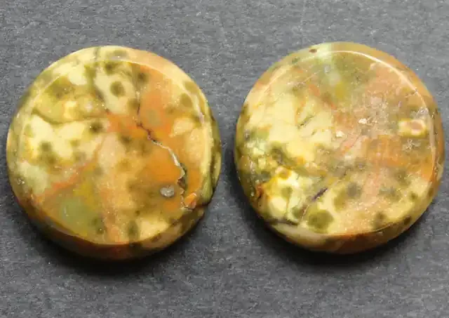 21.55 CTS FOSSIL PALM WOOD PAIR OF STONES