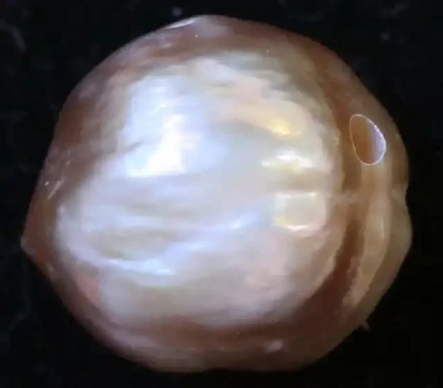 21.80 cts natural Apricot Pearls PPP 803