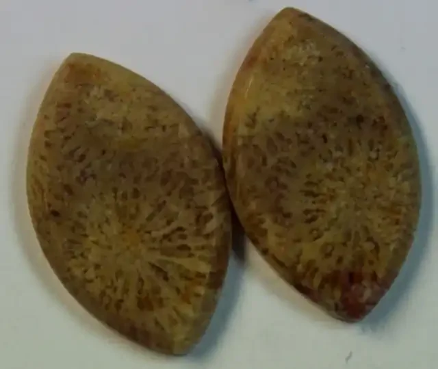 21.90 CTS PAIR OF POLISHED CORAL NATURAL STONES