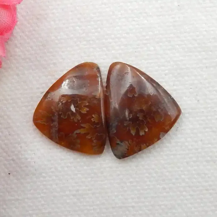 21CTS Twinkle Natural Ammonite Cabochon Pair ^ Fossil Cabochon Pair G292