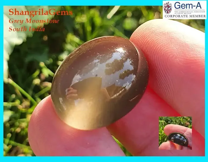 21mm 31ct Grey Black oval moonstone from South India