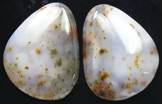 22.60 CTS DENDRITIC AGATE PAIR OF POLISHED STONES