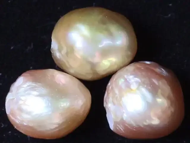 22.70 cts 3 natural Apricot Pearls PPP 805
