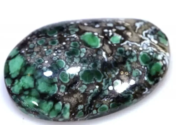 22 CTS BLUEBOY VARISCITE CLAM PSEUDOMORPH TBG-3408