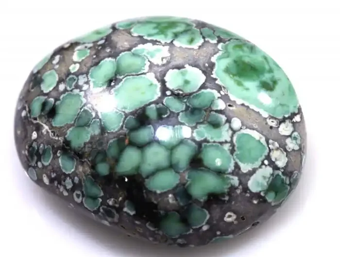 22 CTS BLUEBOY VARISCITE CLAM PSEUDOMORPH TBG-3426