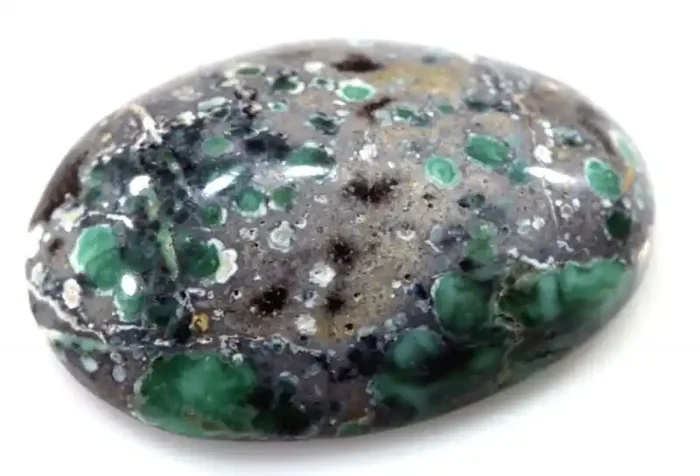 22 CTS BLUEBOY VARISCITE CLAM PSEUDOMORPH TBG-3427