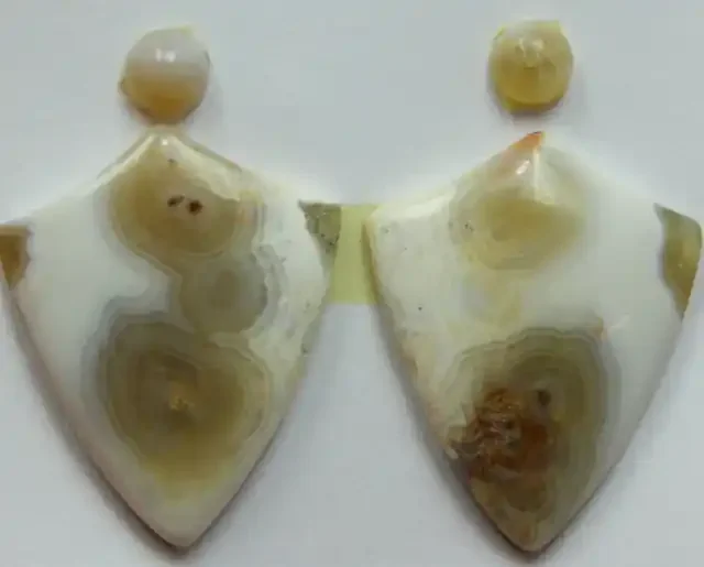 23.50 CTS OCEAN JASPER PAIR 4 STONES FOR EARRINGS