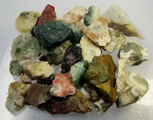 232 GRS OCEAN JASPER ROUGH MS 1028