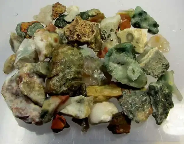 236 GRS OCEAN JASPER ROUGH MS 1029