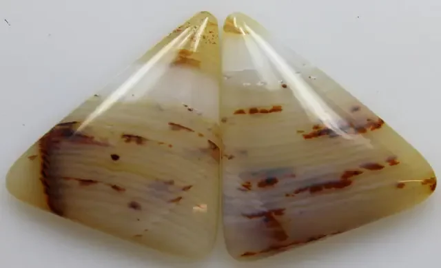 24.40 CTS WYOMING AGATE PAIR OF POLISHED STONES
