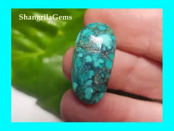 24mm Tibetan turquoise cabochon spiders web markings oval 24 by 12 by 5.5mm