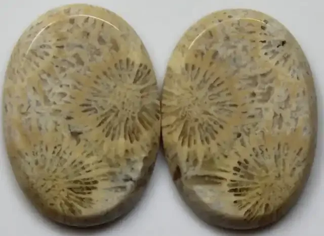 26.60 CTS PAIR OF POLISHED CORAL NATURAL STONES
