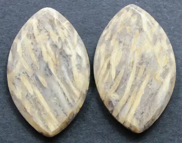 26.95 CTS FOSSIL PALM WOOD PAIR OF STONES