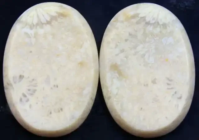 26.95 CTS PAIR OF POLISHED CORAL NATURAL STONES
