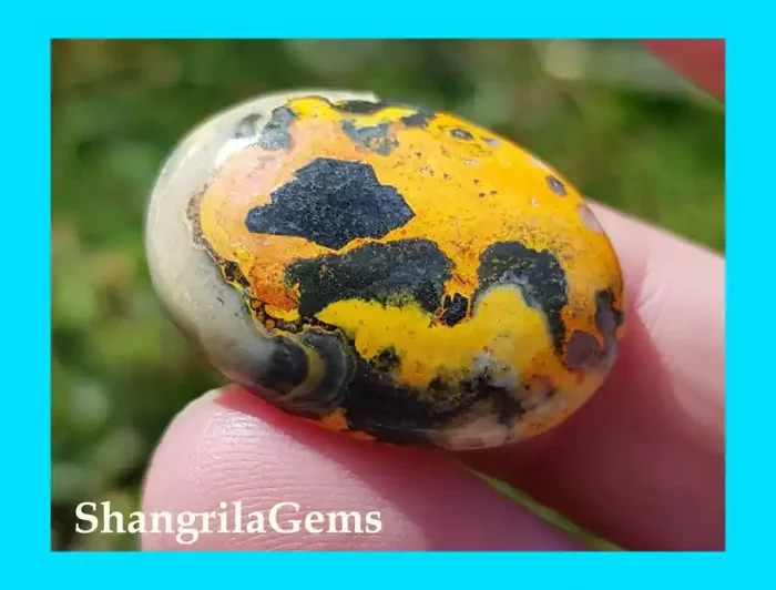 26mm BumbleBee Jasper AAA 19CT 26 by 18 by 5mm from West Java Indonesia