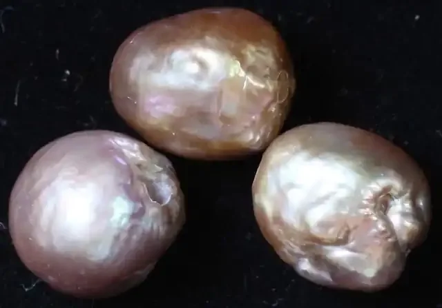 27.20 cts 3 natural Apricot Pearls PPP820