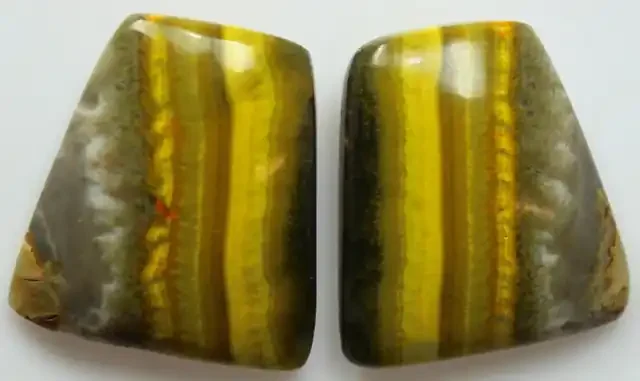 27.85 CTS MUSTARD JASPER PAIR CABOCHONS FROM INDONESIA