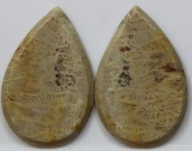 27.90 CTS PAIR OF POLISHED CORAL NATURAL STONES