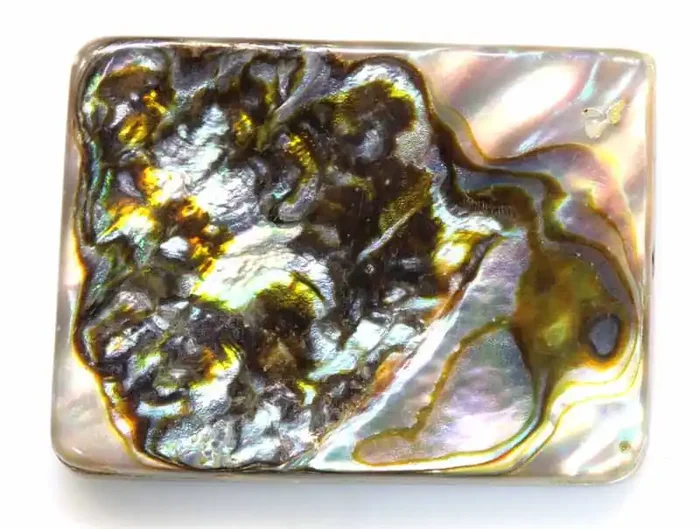 27 CTS ABALONE SHELL BEAD AMAZING PATTERN PG-86