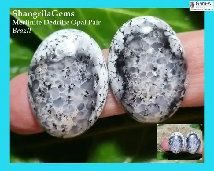 27mm DENDRITIC AGATE Merlinite Pair Oval cabochon black white cabochon