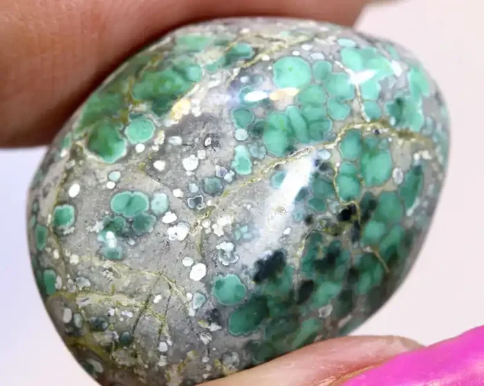 28.60CTS BLUEBOY VARISCITE CLAM PSEUDOMORPH TOP DRILLED TBG-3499