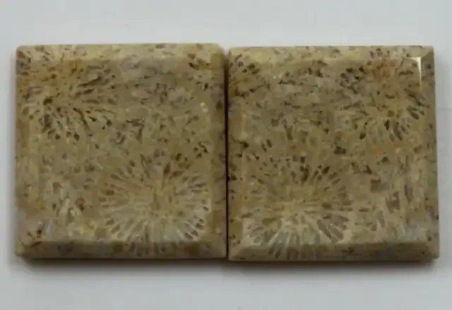 28.90 CTS PAIR OF POLISHED CORAL NATURAL STONES