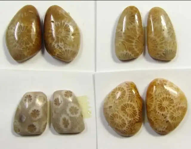 28 CTS PAIRS NATURAL CORAL FOSSIL STONES MS1052