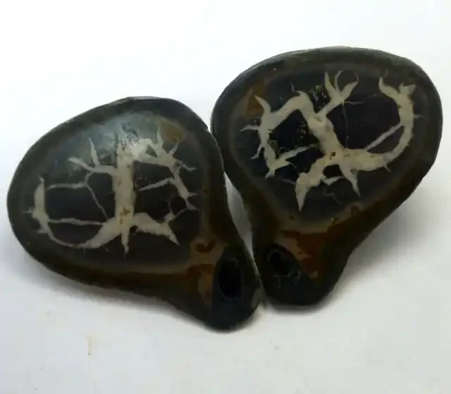283 CTS PAIR SPLIT POLISHED SERPATIAN NODULES MS 221