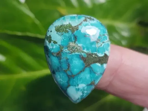 28mm Tibetan turquoise cabochon drop shape 28 by 21 by 7mm 33ct