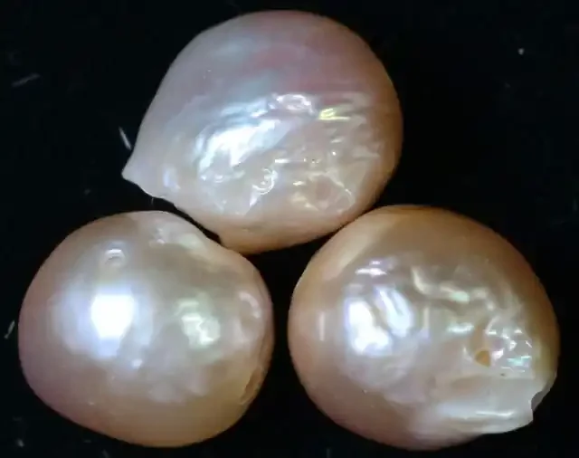 29.10 cts 3 natural Apricot Pearls PPP 787
