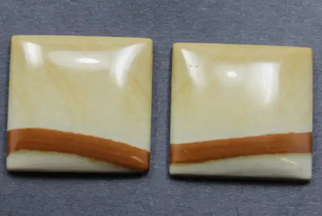 29.25 CTS OWYHEE JASPER CABOCHON PAIR
