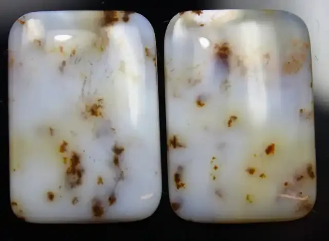 29.55 CTS DENDRITIC AGATE PAIR OF POLISHED STONES