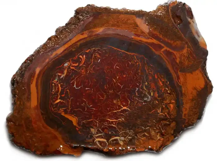 294.05 CTS YOWAH OPAL NUT SLICES-IRONSTONE AND OPAL [MGW8028]