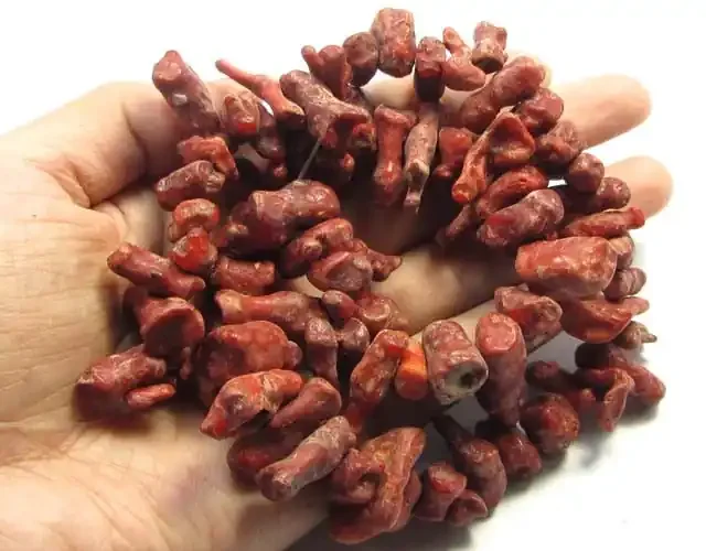 294 CTS NATURAL CORAL BEADS 942 CM LENGTH GG 10