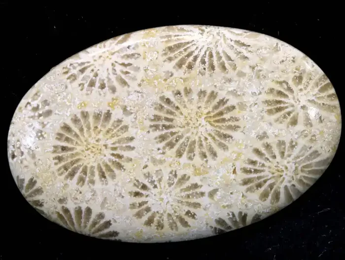 30.25 CTS CORAL INDONESIA TBG-375